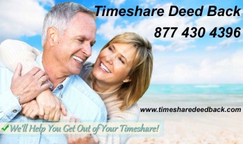 gallery/timeshare deed back
